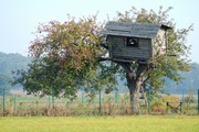 Treehouse2