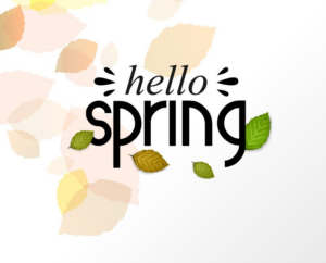 Spring Property Maintenance Checklist for Your Rentals