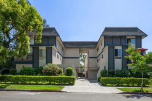 Planting, Pruning, Paving and Protecting