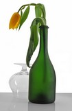 Hangover