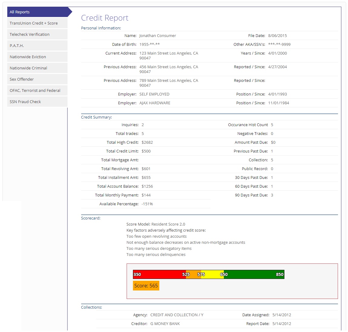 tenant background check sample report