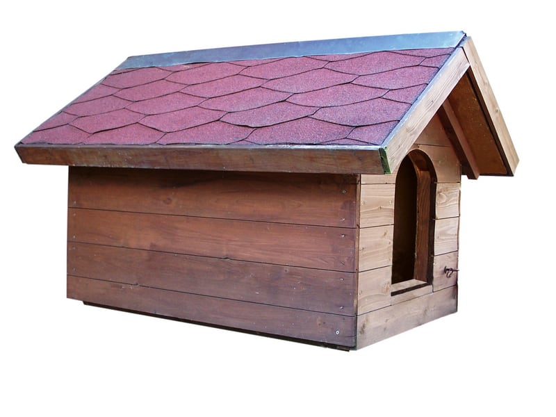 Are Landlords Liable For Tenants Dogs