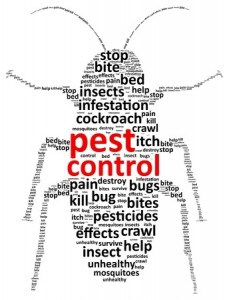 bug pest control words text