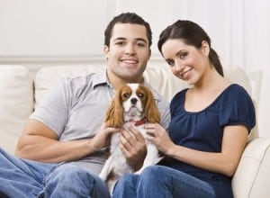 couple renter dog pets