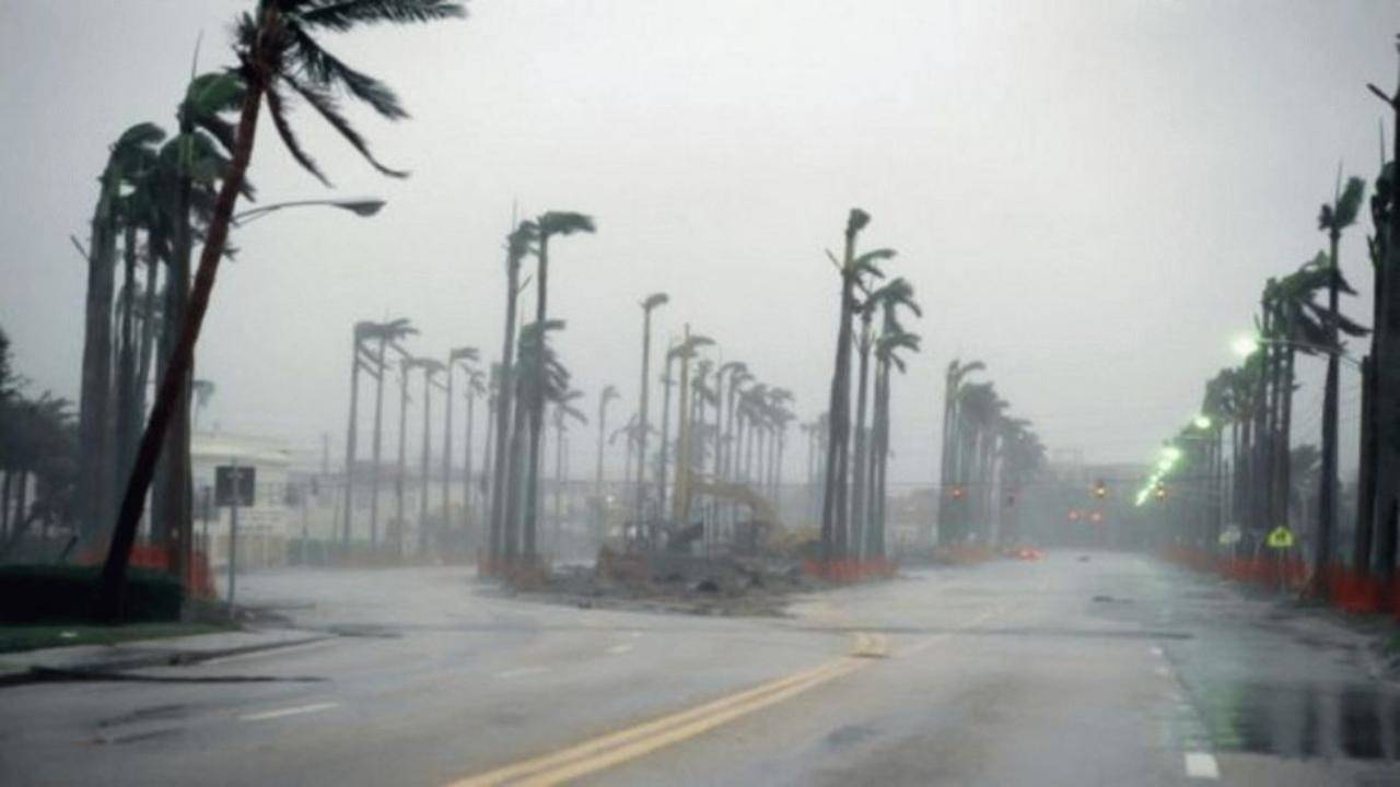 How to Survive Hurricane Season