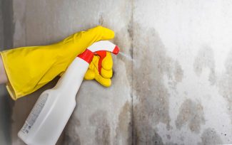 4 Steps To Fight Mold and Mildew In Rentals