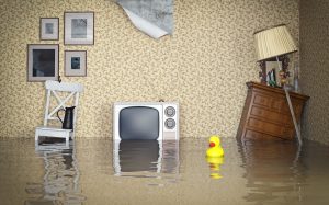 apartment, flood, insurance