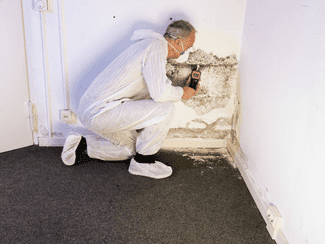 Checking for mold shutterstock_1479351362