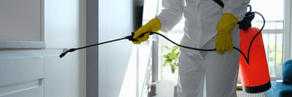 Spraying for pests shutterstock_2077303942
