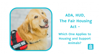 ADA, HUD, The Fair Housing Act – Which One Applies to Housing and Support Animals?