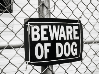 Beware of dog sign Shutterstock_1229630200