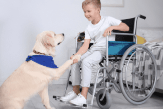 Boy in Wheelchair with Dog Shutterstock_1009421926