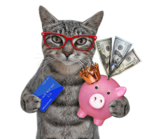 Cat with money Shutterstock_1924597463