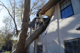 Tree crashes house Shutterstock_2003461898