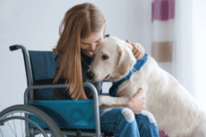 Girl in Wheelchair with Dog