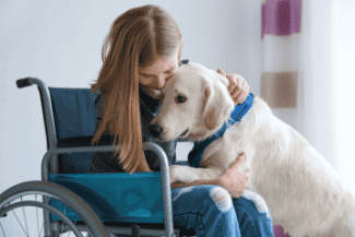 Service Animals vs. Support Animals: One of These...