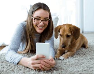 Dog looking at phone Shutterstock_401837899