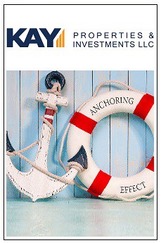 How Delaware Statutory Trusts Can Help Investors Include Both Anchor and Buoy Investment Assets in their Portfolios