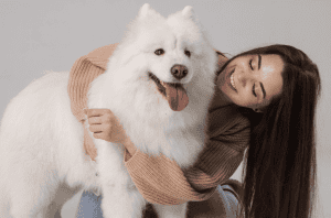 Samoyed and girl Shutterstock_2393059045