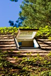 Green roof